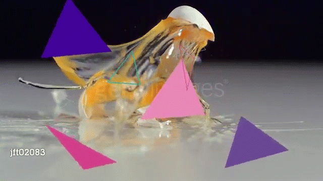 Professional presentation video with clean motion graphics